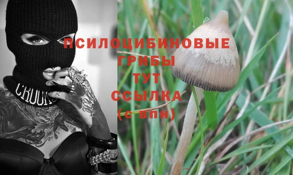 эйфоретик Зеленодольск