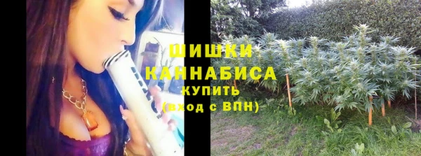 стаф Снежинск